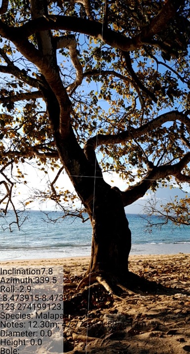 Kabupaten Lembata Jadi Pilot Project Riset Budidaya Pohon Malapari