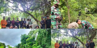 Rayakan Hari Valentine 2025, Komunitas Pemuda Bolelang Di Welai Barat Kolaborasi Tanam 500 Anakan Mangrove