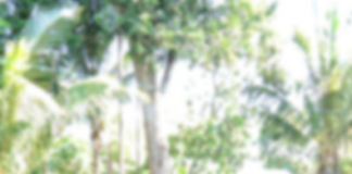 “Ana Me” yang Menghambat Peran Pemuda di Desa