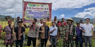 Bupati Alor Iskandar Lakamau Ikut Panen Raya dan Salurkan Bantuan Pertanian di Lantoka