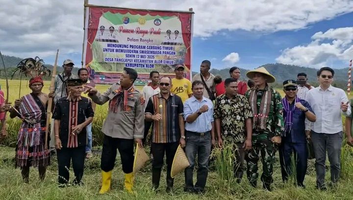 Bupati Alor Iskandar Lakamau Ikut Panen Raya dan Salurkan Bantuan Pertanian di Lantoka