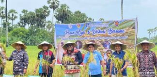 Gubernur NTT Melki Laka Lena Hadiri Kegiatan Panen Raya Padi Bersama Ketua Sinode GMIT di Kabupaten Rote Ndao