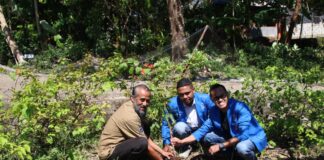 Penanaman Anakan Pohon Pinang dan Mangga Jadi Kegiatan Perdana DPD GAMKI NTT Terpilih Menjelang Pelantikan dan Rakerda