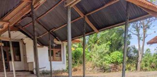 Pengurus DPD GAMKI NTT Silaturahmi dan Tanam Pohon Bersama Anak-Anak Disabilitas di Panti Sosial Hit Bia