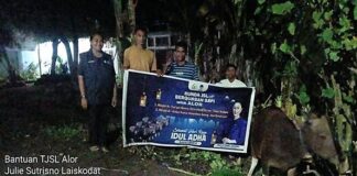 Anggota DPR RI Julie Laiskodat Salurkan Hewan Kurban Di Masjid Al-furqan Alor, Umat Berterimakasih Dan Doakan Keselamatan