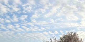 Bupati Sabu Raijua Krisman Riwu Kore Serahkan Bantuan bagi Korban Kebakaran Rumah Tampung Rumput Laut di Lobohede