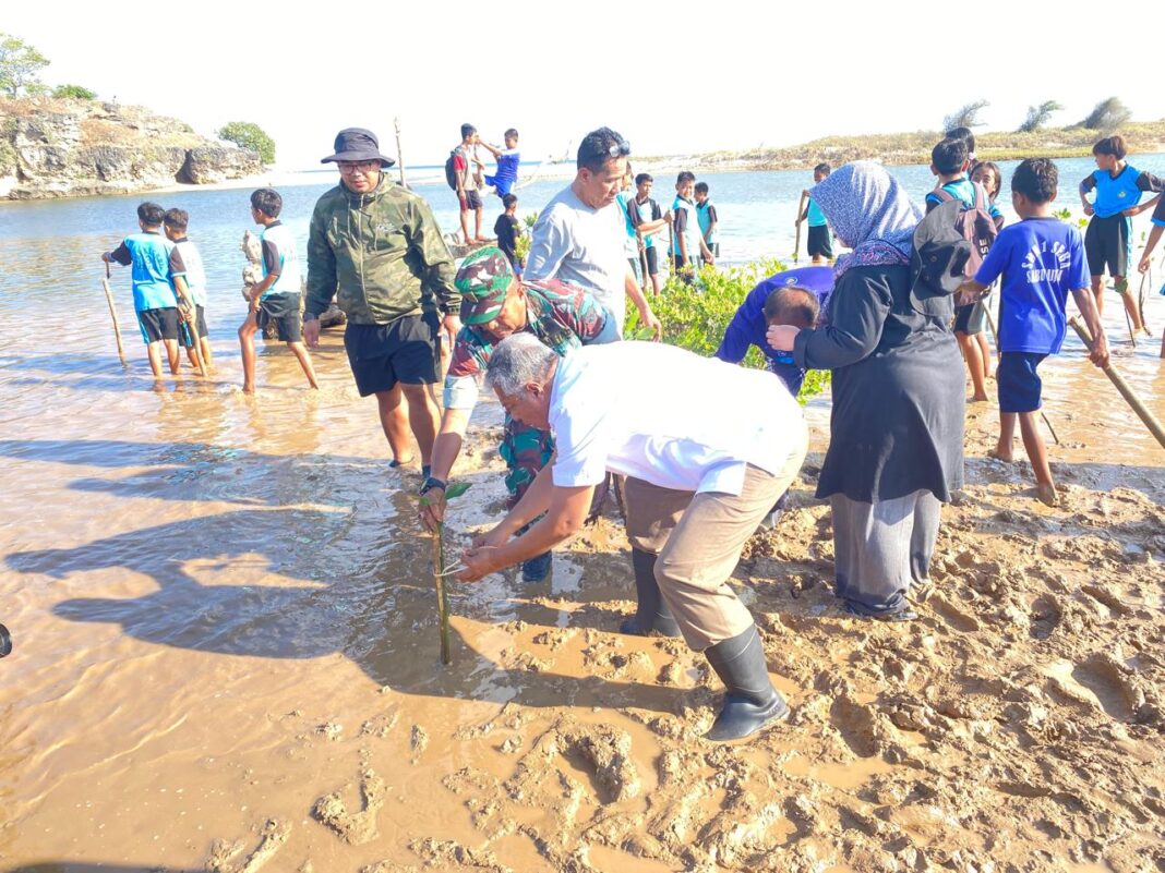 Wakil Bupati Sabu Raijua Thobias Uly Ikut Tanam Seribu Anakan Mangrove di Kecamatan Sabu Barat
