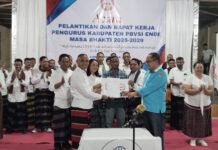 Hadiri Pelantikan Pengurus dan Pembukaan Rakercab : Ketum Pengprov PBVSI NTT Minta Untuk Kembalikan Kejayaan Voli di Kabupaten Ende