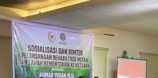 Wakil Ketua Komisi IV DPR RI Ahmad Yohan Sebut NTT Berpeluang Manfaatkan Carbon Credit jadi PAS