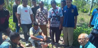 DPD GAMKI NTT dan Klasis Amabi Oefeto Timur Gelar Kegiatan Persiapan Tanam Raya Asam Timor dan Pelatihan Pembuatan Lubang Tanam
