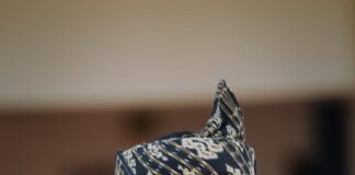 Bupati Krisman Riwu Kore Kelelahan Usai Mengikuti Apel Kekuatan ASN Lingkup Kabupaten Sabu Raijua