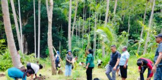 GAMKI Terus Jadi Pelopor Ekologis di NTT, Kali Ini Lakukan Penanaman di Kabupaten Kupang, Target Tanam 1 Juta Pohon Tercapai