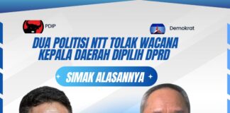 Dua Politisi NTT Tolak Wacana Kepala Daerah Dipilih DPRD, Berikut Alasannya Andreas Hugo Pareira dan Beni K Harman
