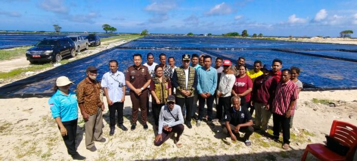 Lokasi Tambak Garam di Sabu Raijua yang baru saja diserahkan Kementerian Kelautan dan Perikanan seluas 45 Hektar