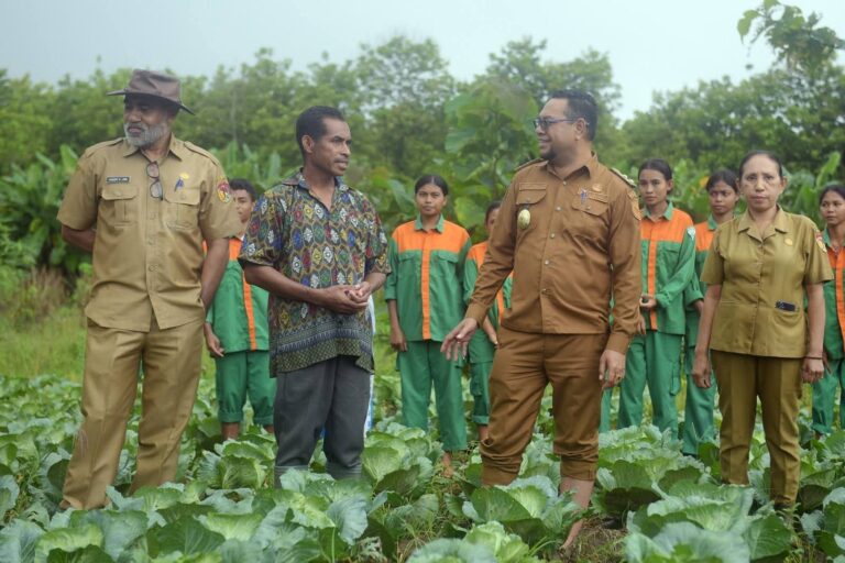 Wakil Bupati Belu, Vicente Hornai Goncalves ketika berdialog dengan petani kol di Desa Kabuna, Kecamatan Kakuluk Mesak di sela-sela kegiatan panen kol