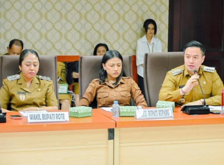 Wali Kota Kupang, dr. Christian Widodo duduk berdampingan dengan Wakil Bupati Kupang, Aurum Titu Eky, Wakil Bupati Roten Ndao, Apremoi Dethan saat menghadiri Rapat Penanganan PMI Provinsi Nusa Tenggara Timur di Ruang Rapat Gubernur NTT, Selasa (20/1)