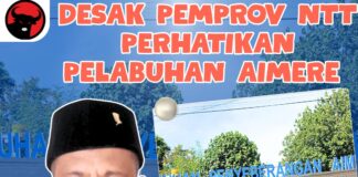 Patris Lali Wolo Desak Pemprov NTT Perhatikan Pelabuhan Aimere, Potensi PAD Dinilai Terabaikan Ketua Komisi IV DPRD NTT, Patris Lali Wolo yang juga Sekretaris DPD PDIP NTT, Anggota DPRD NTT Dapil V (Ngada, Nagekeo, Ende, Sikka)