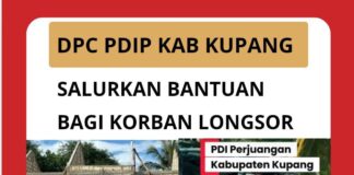 Deasy Balo Foeh Turun Langsung ke Nekamese, Salurkan Bantuan bagi Korban Longsor