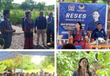 Reses di Desa Pante Deere Kabola, Warga Sambut Hangat dan Sampaikan Aspirasi ke Anggota DPR RI Julie Sutrisno Laiskodat