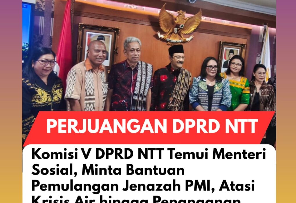 IMG 20260512 WA0003