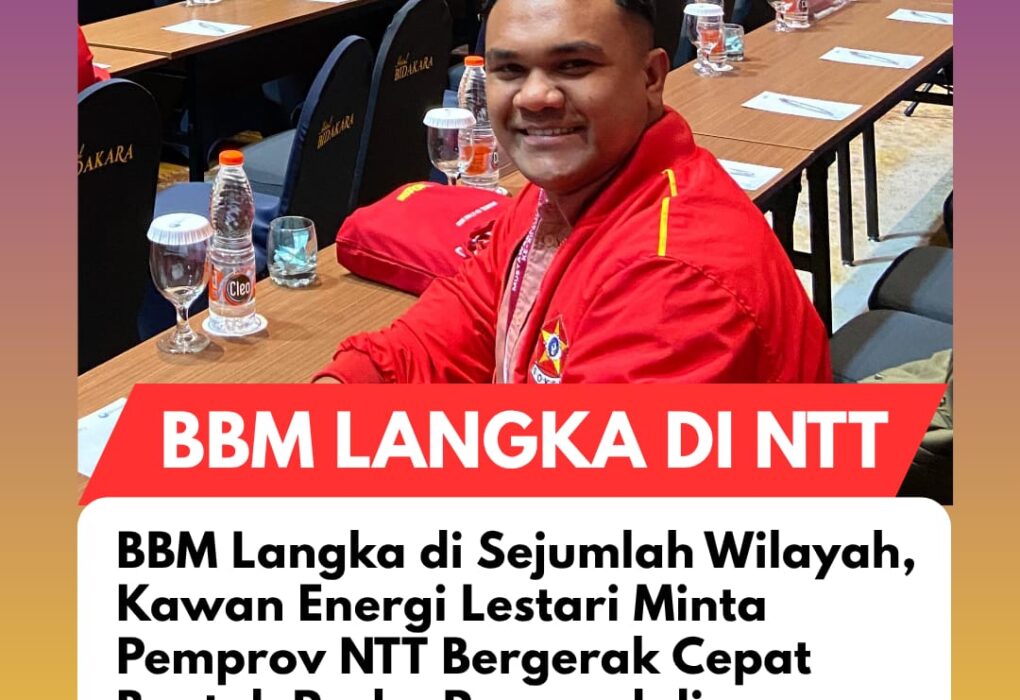 IMG 20260515 WA0002