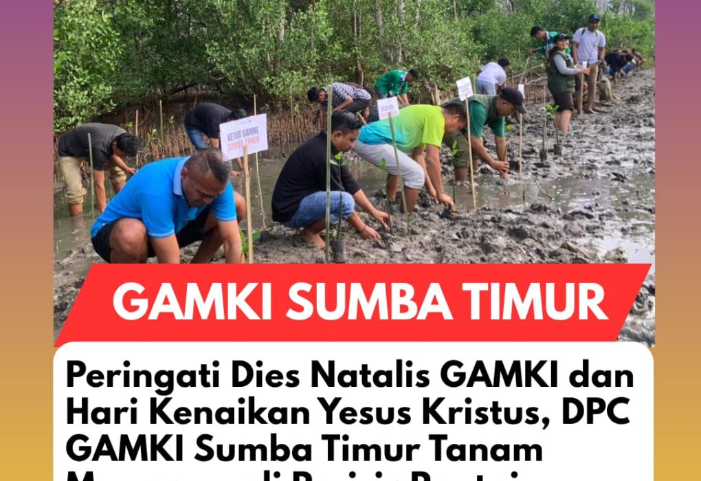 IMG 20260516 WA0029